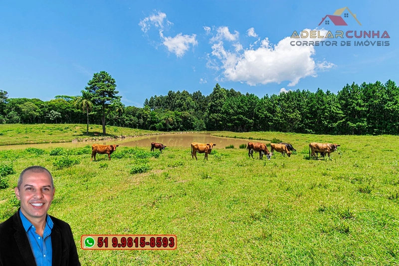 Sítio de 7 hectares à VENDA em Serra Grande, Gramado - RS: 41ª foto da galeria de imagens do imóvel