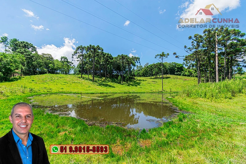 Sítio de 7 hectares à VENDA em Serra Grande, Gramado - RS: 19ª foto da galeria de imagens do imóvel