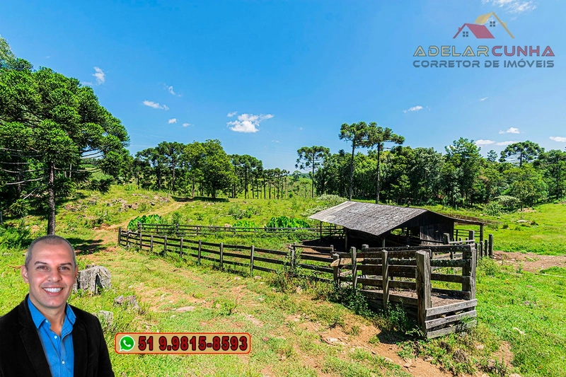Sítio de 7 hectares à VENDA em Serra Grande, Gramado - RS: 10ª foto da galeria de imagens do imóvel