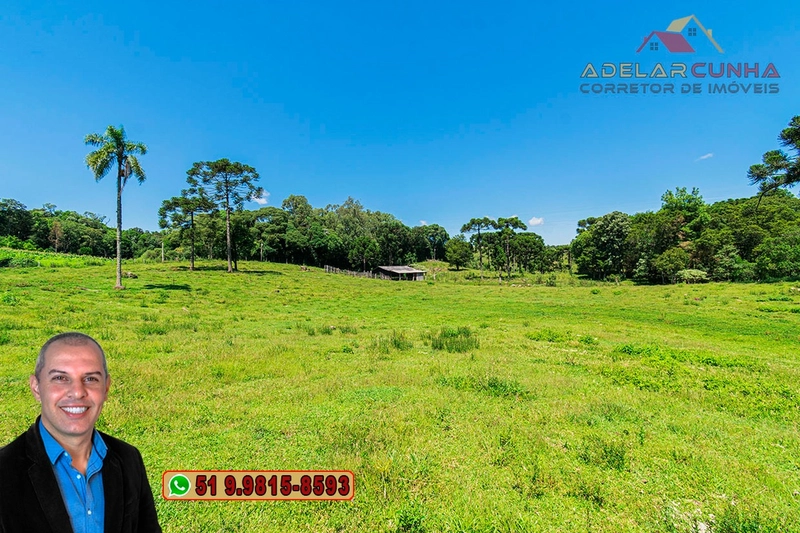 Sítio de 7 hectares à VENDA em Serra Grande, Gramado - RS: 2ª foto da galeria de imagens do imóvel
