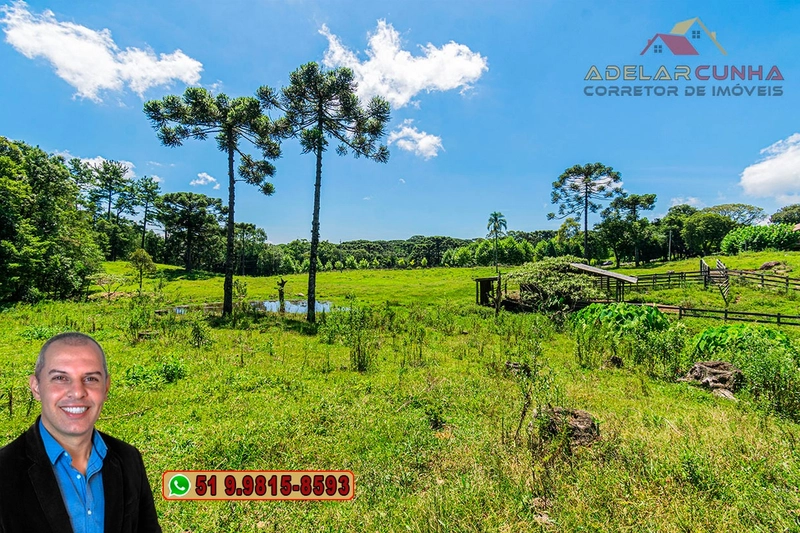 Sítio de 7 hectares à VENDA em Serra Grande, Gramado - RS: 12ª foto da galeria de imagens do imóvel