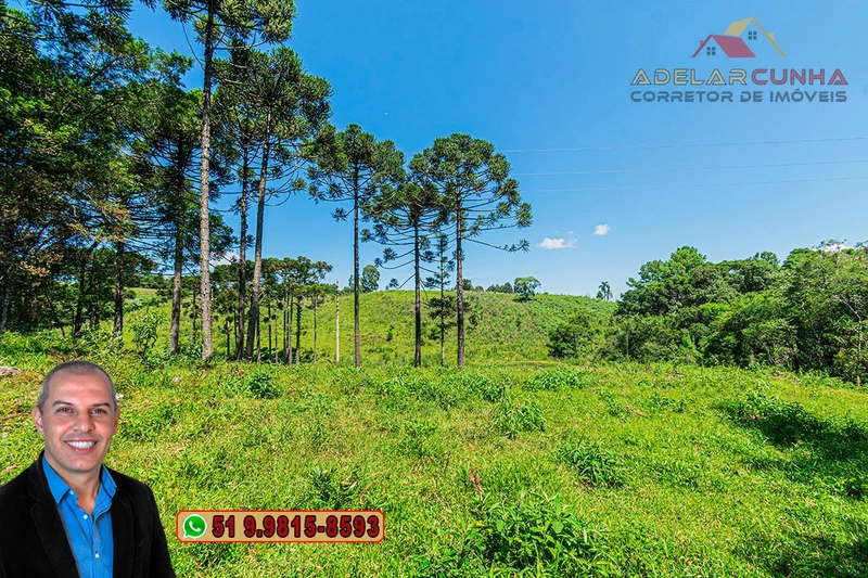Sítio de 7 hectares à VENDA em Serra Grande, Gramado - RS: 13ª foto da galeria de imagens do imóvel