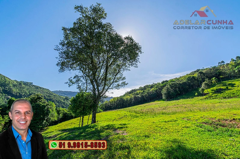 LOTE 02: Chácara de 2.5 hectares com Riacho, À VENDA em Gramado – RS: 11ª foto da galeria de imagens do imóvel