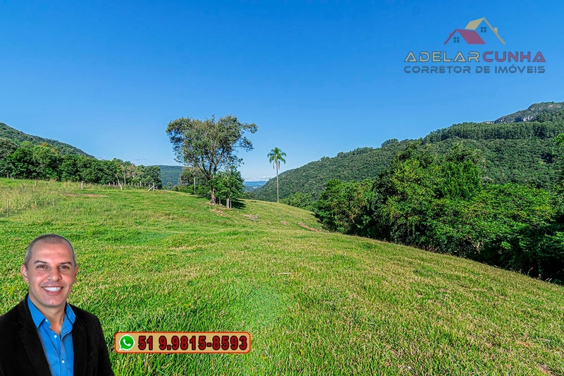 LOTE 02: Chácara de 2.5 hectares com Riacho, À VENDA em Gramado – RS: 7ª foto da galeria de imagens do imóvel