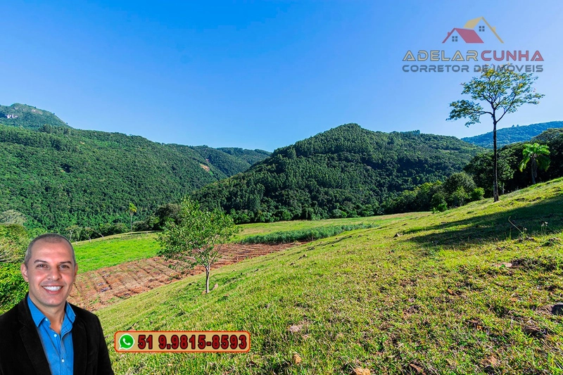 LOTE 02: Chácara de 2.5 hectares com Riacho, À VENDA em Gramado – RS: 6ª foto da galeria de imagens do imóvel