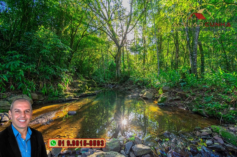 LOTE 02: Chácara de 2.5 hectares com Riacho, À VENDA em Gramado – RS: 34ª foto da galeria de imagens do imóvel