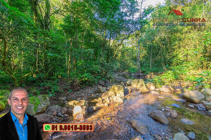LOTE 02: Chácara de 2.5 hectares com Riacho, À VENDA em Gramado – RS: 40ª foto da galeria de imagens do imóvel