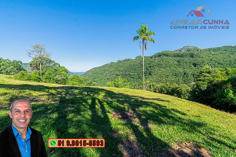 LOTE 02: Chácara de 2.5 hectares com Riacho, À VENDA em Gramado – RS: 9ª foto da galeria de imagens do imóvel