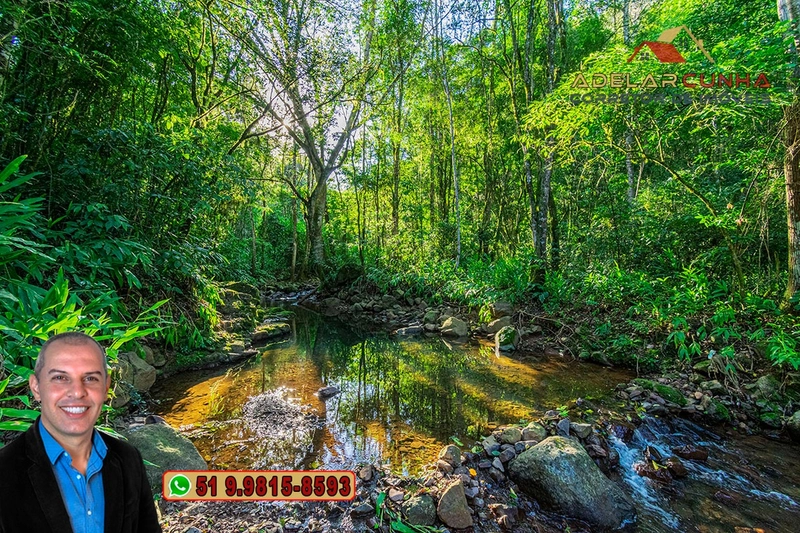 LOTE 02: Chácara de 2.5 hectares com Riacho, À VENDA em Gramado – RS: 36ª foto da galeria de imagens do imóvel