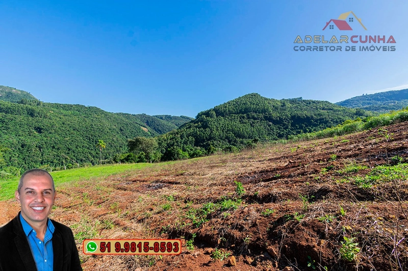 LOTE 02: Chácara de 2.5 hectares com Riacho, À VENDA em Gramado – RS: 21ª foto da galeria de imagens do imóvel