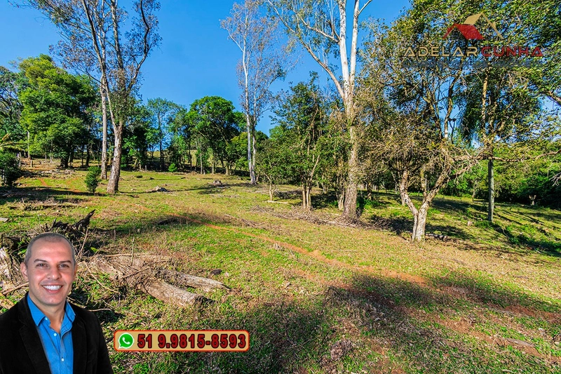 Chácara de 3.7 Hectares à VENDA em Três Coroas – RS: 7ª foto da galeria de imagens do imóvel