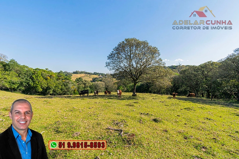 Chácara de 3.7 Hectares à VENDA em Três Coroas – RS: 23ª foto da galeria de imagens do imóvel