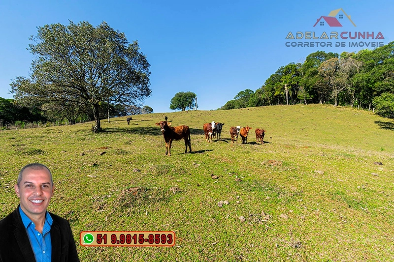 Chácara de 3.7 Hectares à VENDA em Três Coroas – RS: 24ª foto da galeria de imagens do imóvel