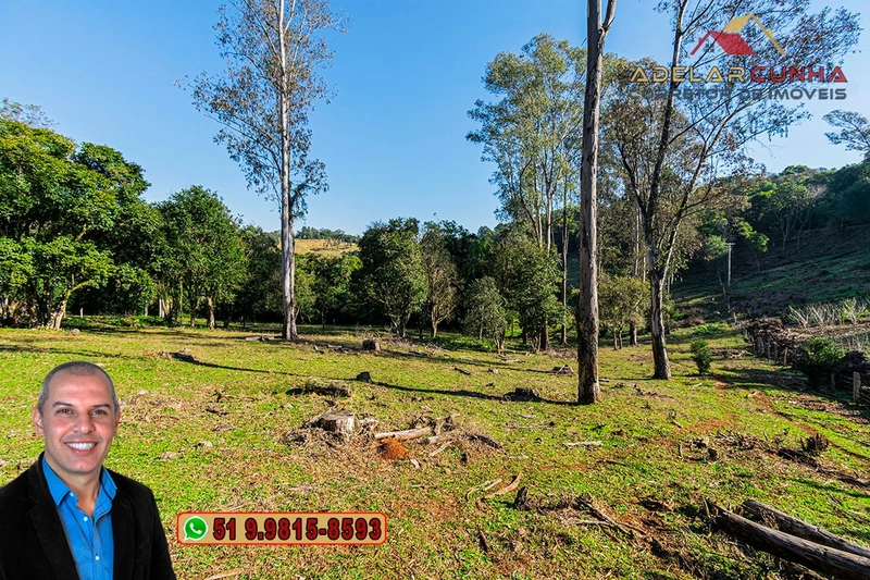 Chácara de 3.7 Hectares à VENDA em Três Coroas – RS: 8ª foto da galeria de imagens do imóvel