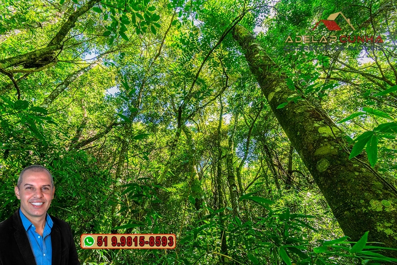 Sítio de 3.7 hectares à VENDA Gramado - RS: 3ª foto da galeria de imagens do imóvel