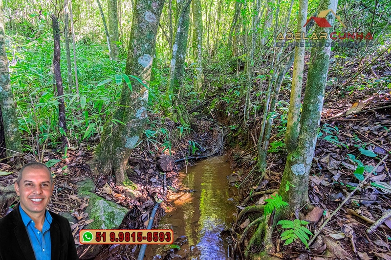 Sítio de 3.7 hectares à VENDA Gramado - RS: 6ª foto da galeria de imagens do imóvel