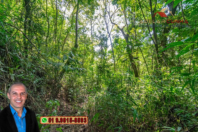 Sítio de 3.7 hectares à VENDA Gramado - RS: 15ª foto da galeria de imagens do imóvel