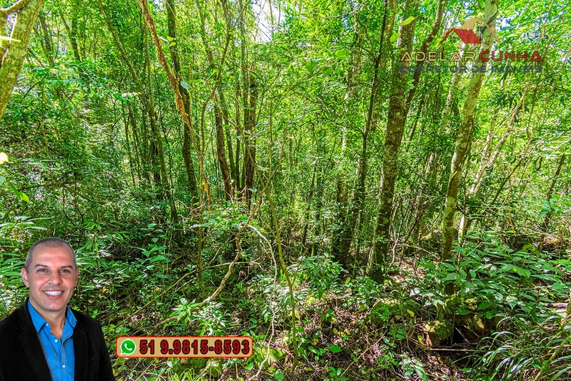 Sítio de 3.7 hectares à VENDA Gramado - RS: 2ª foto da galeria de imagens do imóvel