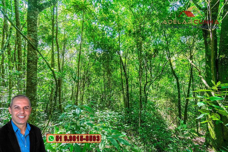 Sítio de 3.7 hectares à VENDA Gramado - RS: 1ª foto da galeria de imagens do imóvel