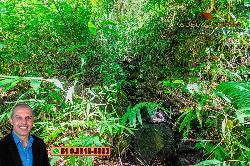 Sítio de 3.7 hectares à VENDA Gramado - RS: 13ª foto da galeria de imagens do imóvel