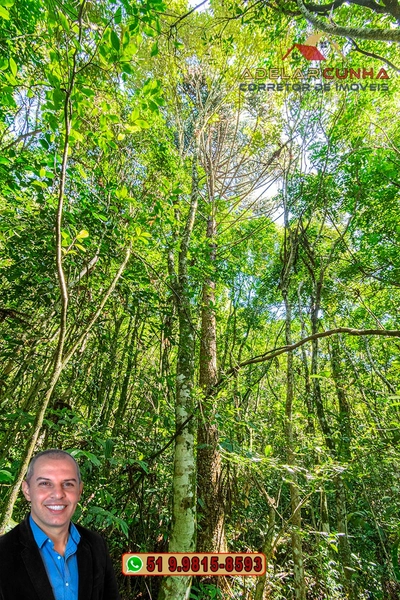 Sítio de 3.7 hectares à VENDA Gramado - RS: 4ª foto da galeria de imagens do imóvel