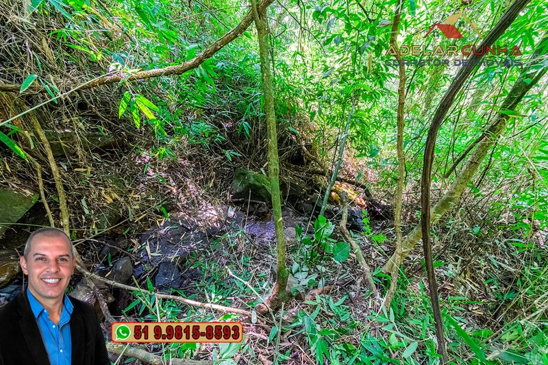 Sítio de 3.7 hectares à VENDA Gramado - RS: 9ª foto da galeria de imagens do imóvel