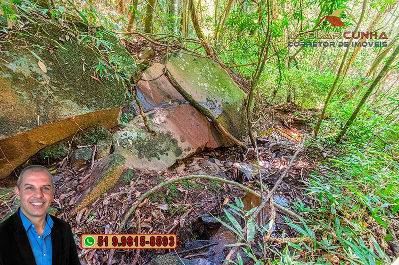 Sítio de 3.7 hectares à VENDA Gramado - RS: 11ª foto da galeria de imagens do imóvel
