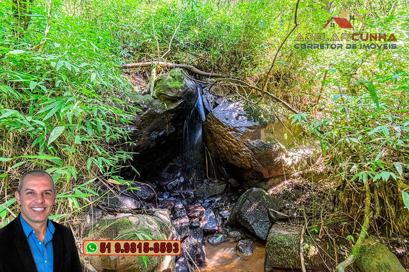 Sítio de 3.7 hectares à VENDA Gramado - RS: 8ª foto da galeria de imagens do imóvel