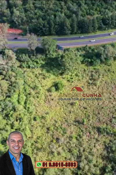 Terreno com 2.5 hectares com frente para RS 239 em Campo Bom.: 17ª foto da galeria de imagens do imóvel