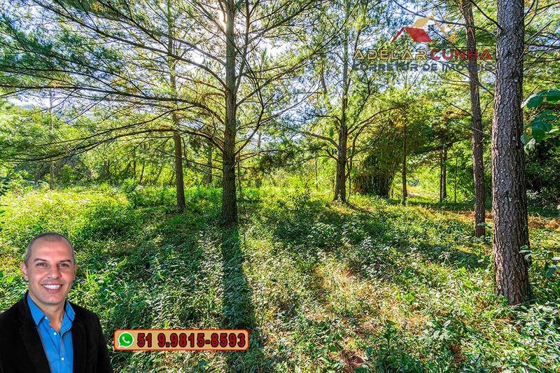 Terreno Comercial | Industrial com 4.8 Hectares à Venda em Campo Bom – RS‑239: 30ª foto da galeria de imagens do imóvel