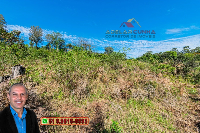 Terreno com 2.5 hectares com frente para RS 239 em Campo Bom.: 7ª foto da galeria de imagens do imóvel