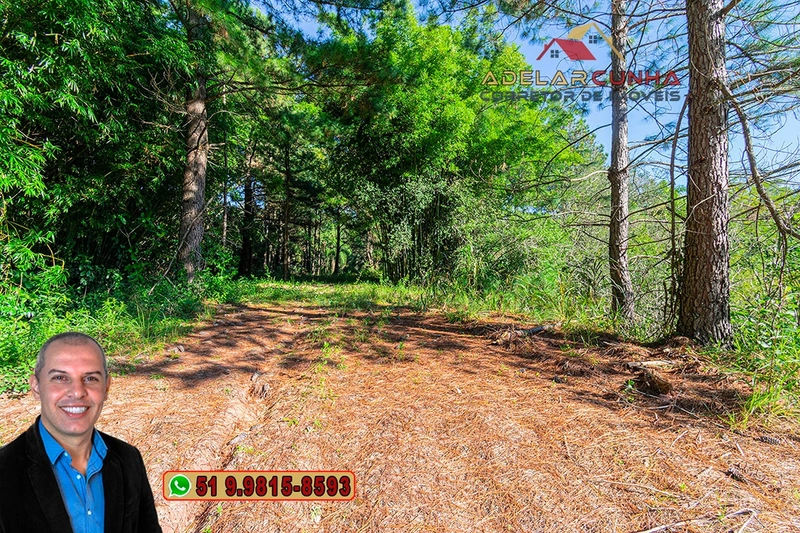 Terreno Comercial | Industrial com 4.8 Hectares à Venda em Campo Bom – RS‑239: 32ª foto da galeria de imagens do imóvel