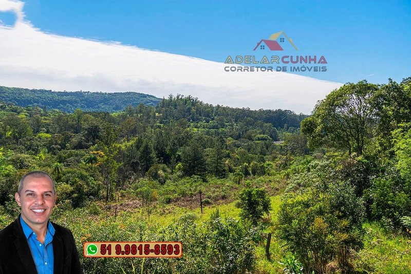 Terreno com 2.5 hectares com frente para RS 239 em Campo Bom.: 10ª foto da galeria de imagens do imóvel