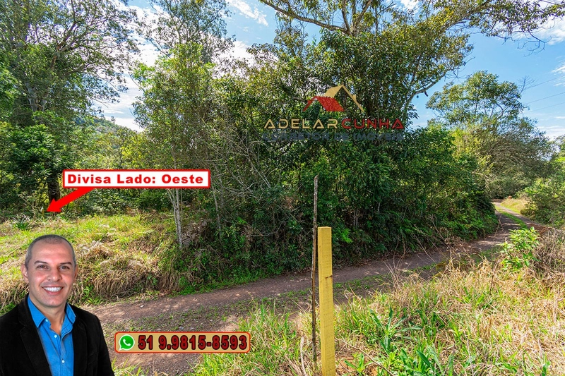 Terreno com 2.5 hectares com frente para RS 239 em Campo Bom.: 15ª foto da galeria de imagens do imóvel