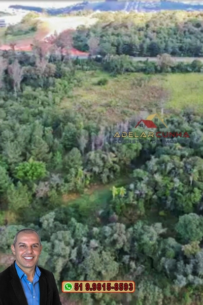 Terreno com 2.5 hectares com frente para RS 239 em Campo Bom.: 19ª foto da galeria de imagens do imóvel