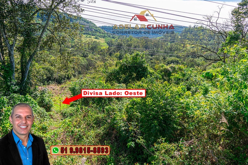 Terreno com 2.5 hectares com frente para RS 239 em Campo Bom.: 3ª foto da galeria de imagens do imóvel