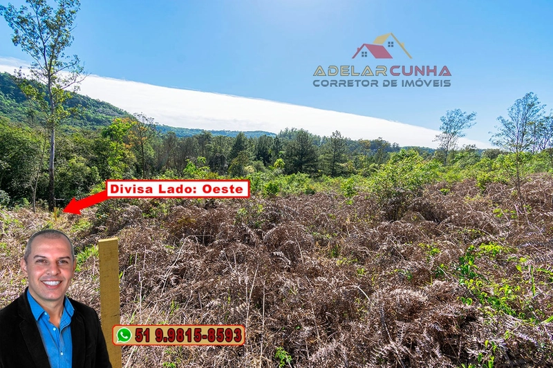 Terreno com 2.5 hectares com frente para RS 239 em Campo Bom.: 5ª foto da galeria de imagens do imóvel