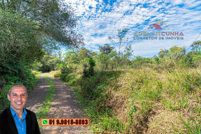 Terreno com 2.5 hectares com frente para RS 239 em Campo Bom.: 11ª foto da galeria de imagens do imóvel