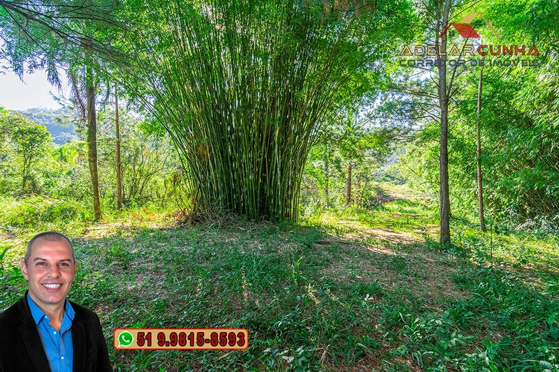 Terreno Comercial | Industrial com 4.8 Hectares à Venda em Campo Bom – RS‑239: 31ª foto da galeria de imagens do imóvel
