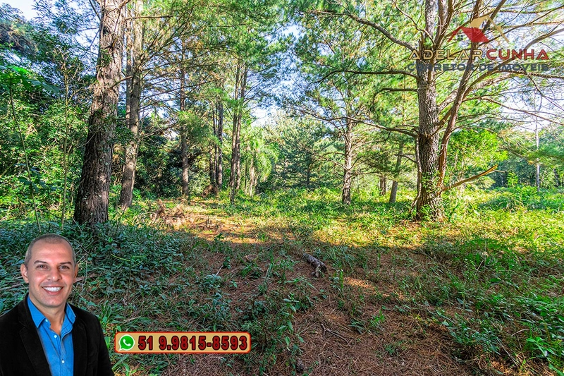 Terreno Comercial | Industrial com 4.8 Hectares à Venda em Campo Bom – RS‑239: 29ª foto da galeria de imagens do imóvel