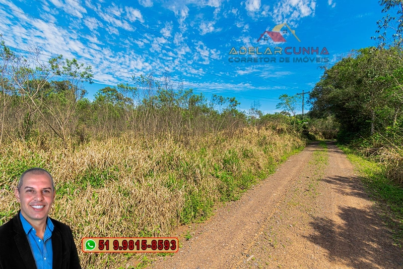 Terreno com 2.5 hectares com frente para RS 239 em Campo Bom.: 16ª foto da galeria de imagens do imóvel