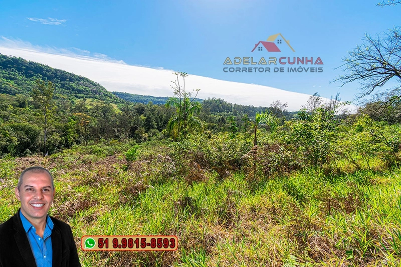 Terreno com 2.5 hectares com frente para RS 239 em Campo Bom.: 4ª foto da galeria de imagens do imóvel