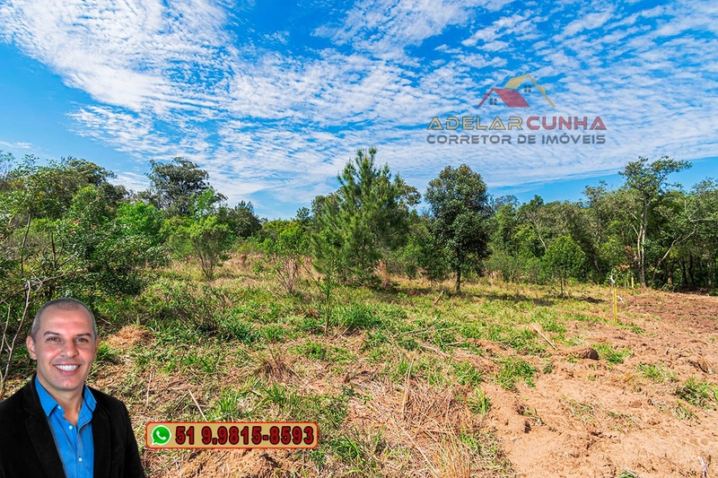 Terreno com 2.5 hectares com frente para RS 239 em Campo Bom.: 13ª foto da galeria de imagens do imóvel
