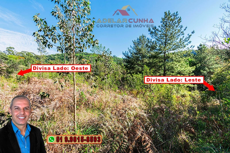 Terreno com 2.5 hectares com frente para RS 239 em Campo Bom.: 8ª foto da galeria de imagens do imóvel