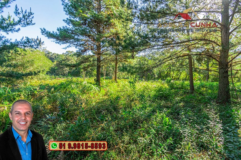 Terreno Comercial | Industrial com 4.8 Hectares à Venda em Campo Bom – RS‑239: 28ª foto da galeria de imagens do imóvel