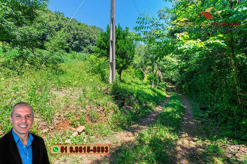 Chácara de 3.9 hectares à VENDA na Rota das Nuvens em Serra Grande: 8ª foto da galeria de imagens do imóvel
