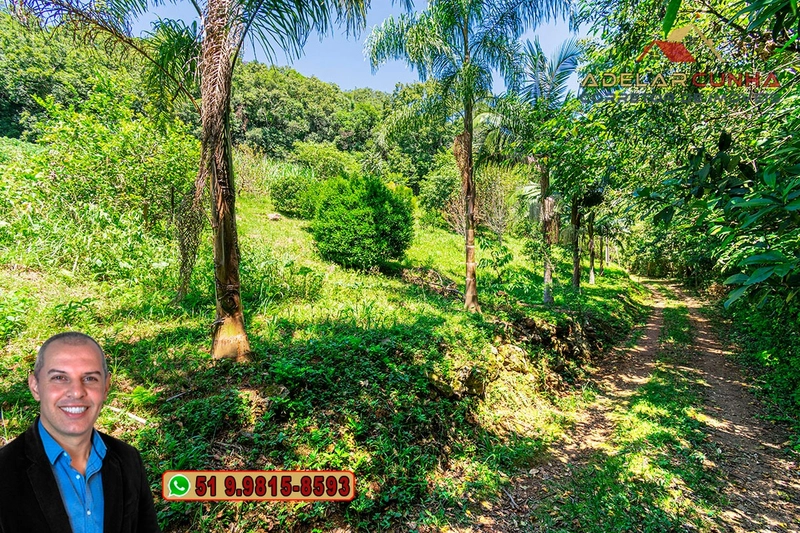 Chácara de 3.9 hectares à VENDA na Rota das Nuvens em Serra Grande: 6ª foto da galeria de imagens do imóvel