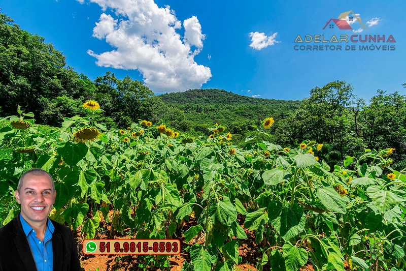Chácara de 3.9 hectares à VENDA na Rota das Nuvens em Serra Grande: 24ª foto da galeria de imagens do imóvel