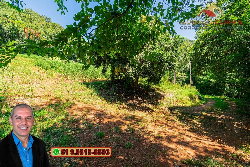 Chácara de 3.9 hectares à VENDA na Rota das Nuvens em Serra Grande: 10ª foto da galeria de imagens do imóvel