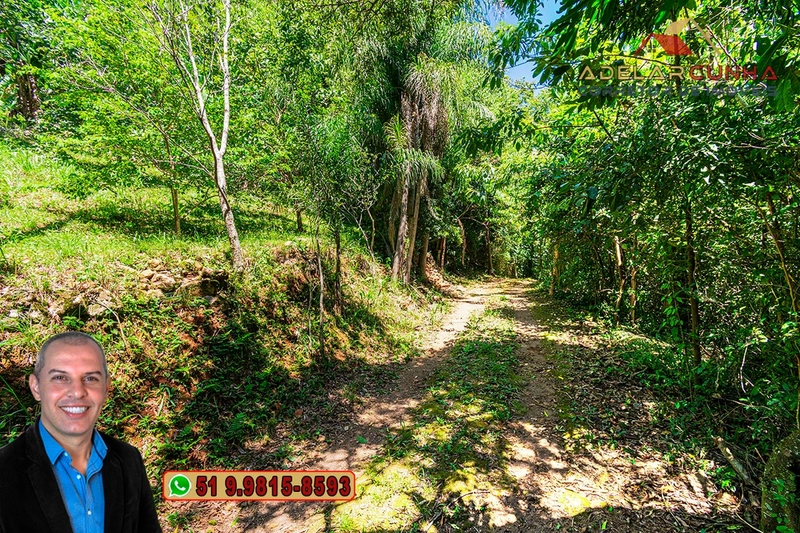 Chácara de 3.9 hectares à VENDA na Rota das Nuvens em Serra Grande: 4ª foto da galeria de imagens do imóvel